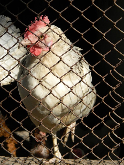 们的一场视 们的一场视