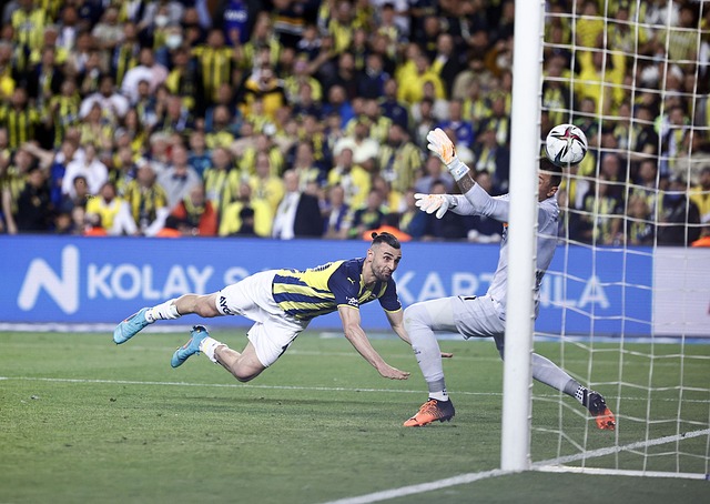 迅速赢得了 迅速赢得了