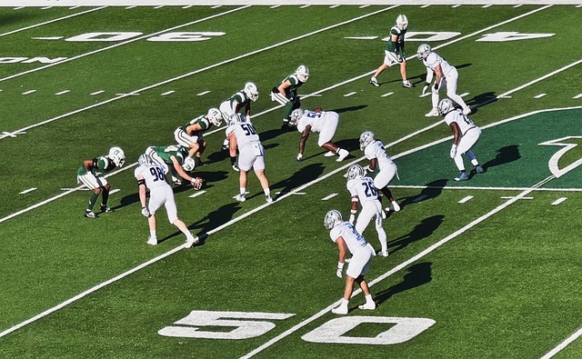 球队整体层 球队整体层