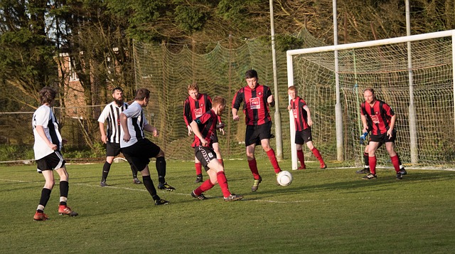 态的较量 态的较量