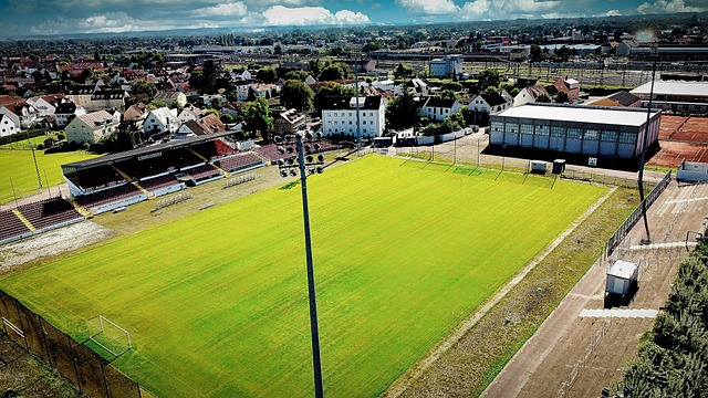 水晶宮作客 水晶宮作客