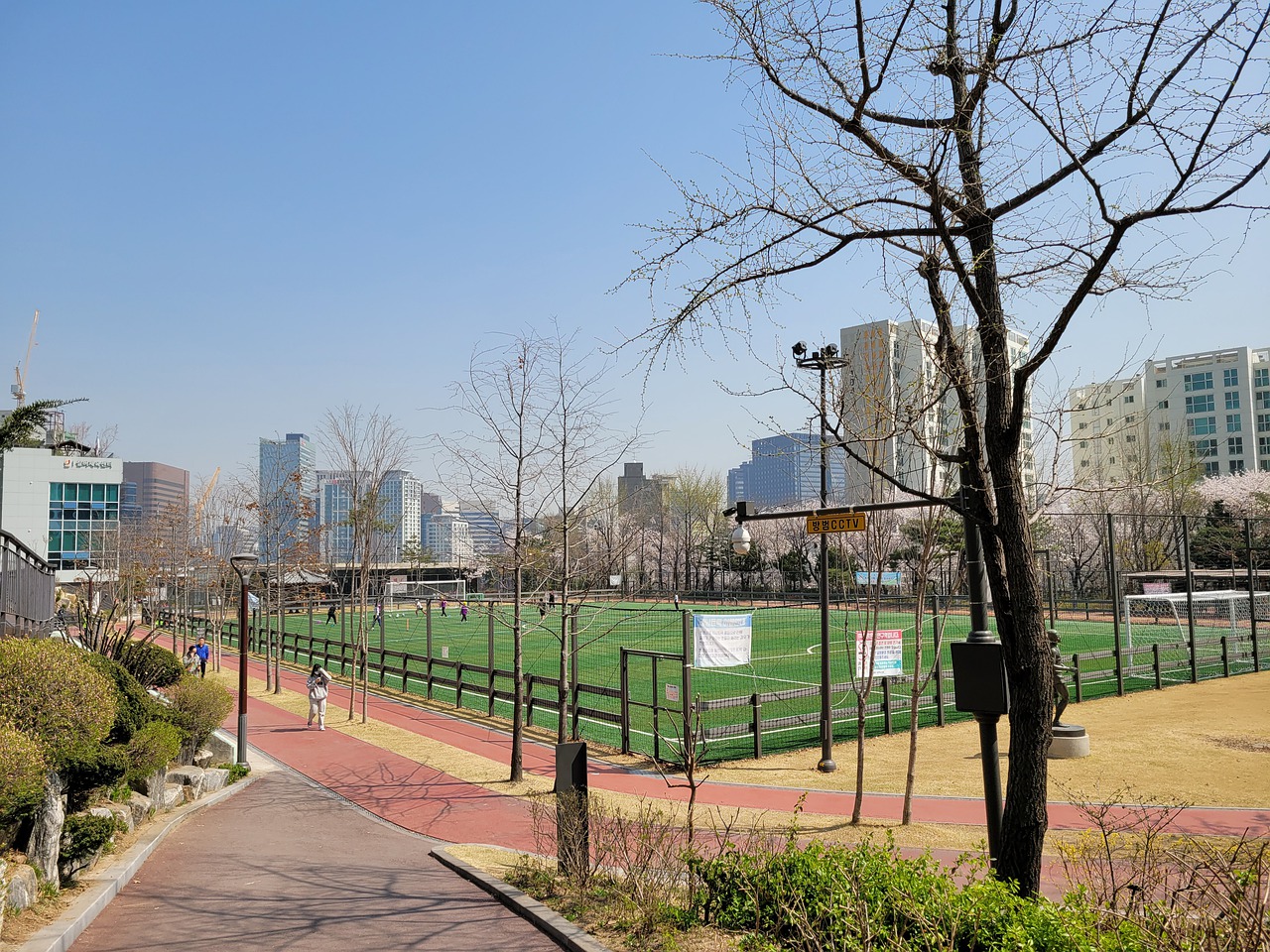 东契奇与詹 东契奇与詹