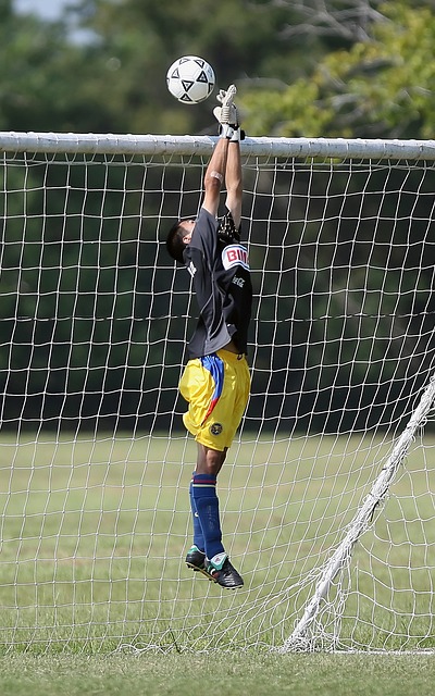 的勤奋训练 的勤奋训练