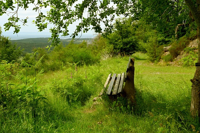 第八届全国室内跳伞(风洞)锦标赛 “空中飞人”展现别样魅力.